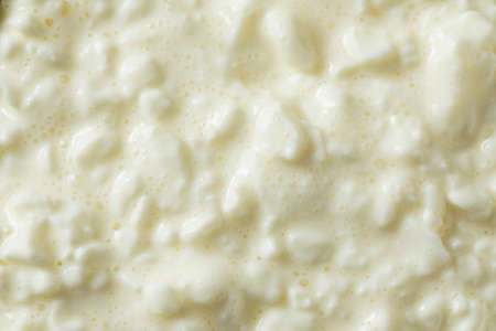 Homemade Low Fat Cottage Cheese Ready to Eatの写真素材