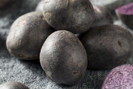 Raw Organic Purple Baby Potatoes Ready to Cookの写真素材