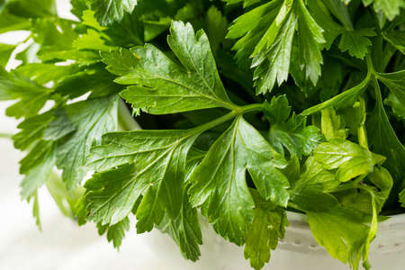 Raw Green Organic Italian Flat Leaf Parsley in a Bowlの写真素材