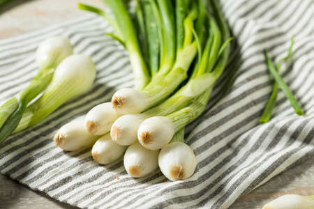 Raw Green Organic Spring Bulb Onions Ready to Cook Withの写真素材