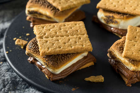 Homemade Chocolate Smores with Marshmallows and Cookies