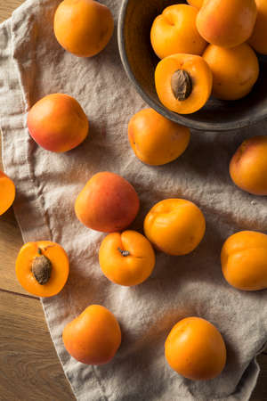 Raw Ripe Organic Apricots Ready to Eatの写真素材