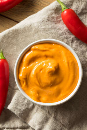 Homemade Spicy Mayo Aioli Ready to Useの写真素材