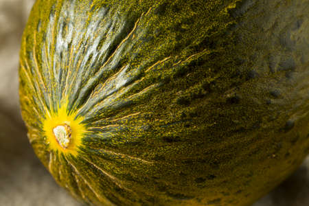 Raw Green Organic Santa Claus Melon Ready to Eatの写真素材
