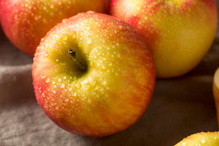 Raw Red Organic Honeycrisp Apples Ready to Eatの写真素材