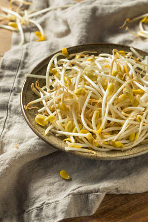 Raw Organic Soy Bean Sprouts in a Bowl