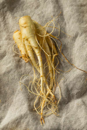 Raw Organic Healthy Ginseng Root Ready to Useの写真素材