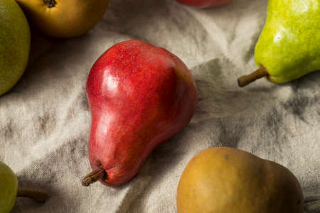 Raw Organic Assorted Pears Ready to Eatの写真素材