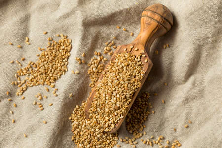 Organic Toasted Sesame Seeds in a Scoopの写真素材