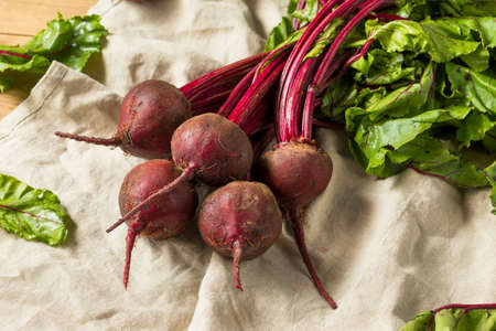 Raw Red Organic Beet Roots with Stems