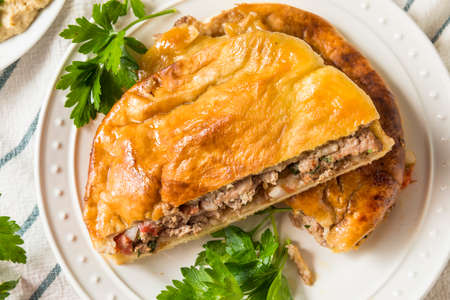 Homemade Lamb and Tomato Arayes Pita with Hummusの写真素材