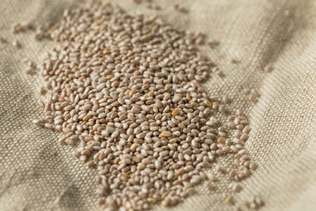 Dry Organic White Chia Seeds in a Bowlの写真素材