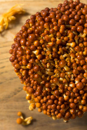 Organic Raw Golden Enoki Mushrooms Ready to Cookの写真素材