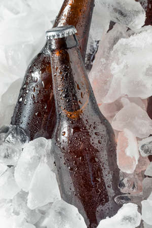 Cold Icy Beer Bottles in a Cooler with Iceの写真素材