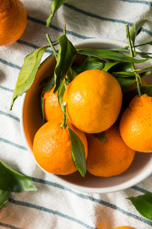 Raw Organic Mandarin Oranges with Green Leavesの写真素材