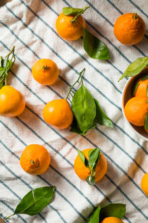 Raw Organic Mandarin Oranges with Green Leavesの写真素材