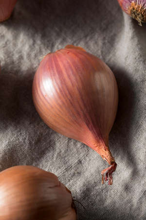 Raw Purple Organic Shallots Ready to Cook With