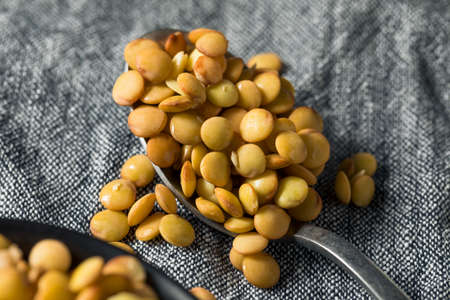 Raw Organic Fresh Lentils in a Bowlの写真素材