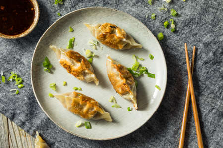 Homemade Korean Mandu Pork Dumplings Ready to Eatの写真素材