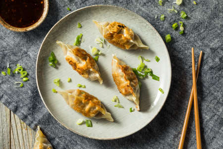 Homemade Korean Mandu Pork Dumplings Ready to Eatの写真素材
