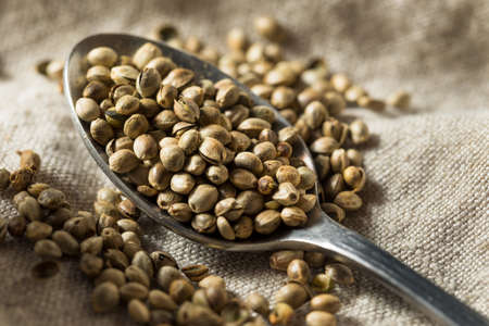 Organic Roasted Hemp Seeds in a Bowlの写真素材
