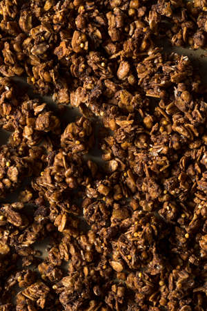 Homemade Chocolate Granola in a Bowl Ready to Eatの写真素材