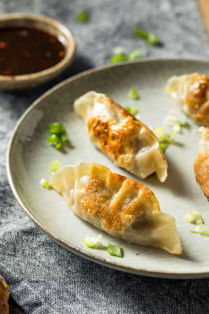 Homemade Korean Mandu Pork Dumplings Ready to Eatの写真素材
