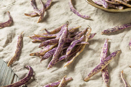 Organic Purple Dragon Tongue Beans Ready to Cookの写真素材
