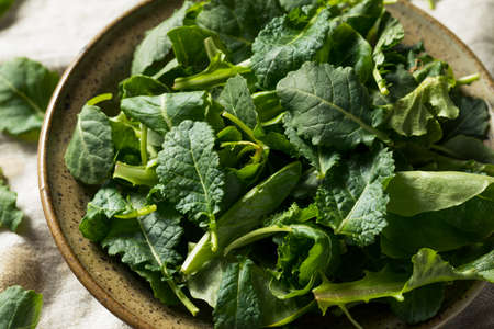 Raw Green Organic Baby Kale in a Bowlの写真素材