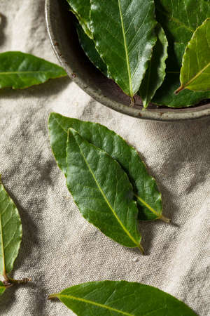 Raw Green Organic Bay Leaves Ready to Cook Withの写真素材
