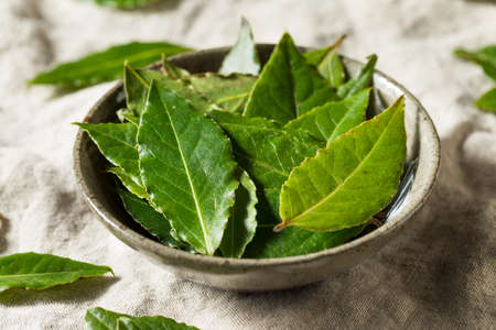 Raw Green Organic Bay Leaves Ready to Cook Withの写真素材