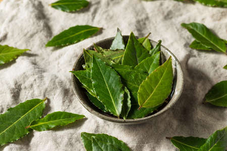 Raw Green Organic Bay Leaves Ready to Cook Withの写真素材