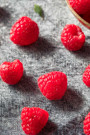 Raw Red Organic Raspberries Ready to Eat