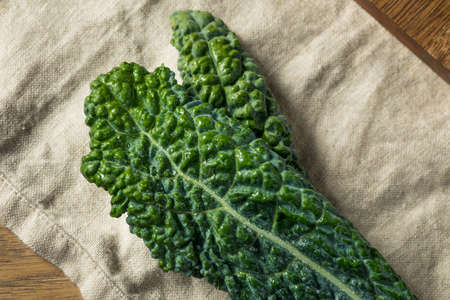 Healthy Organic Green Lacinato Kale Ready to Cookの写真素材