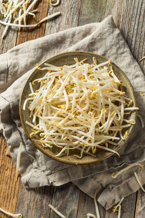 Raw White Organic Bean Sprouts in a Bowlの写真素材