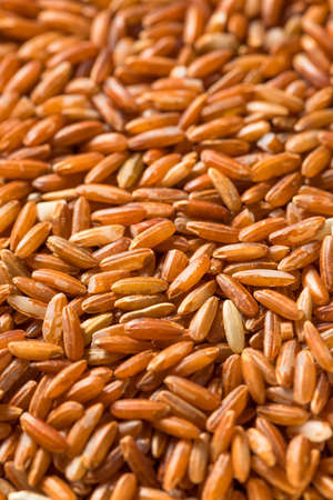 Dry Organic Red Rice in a Bowlの写真素材