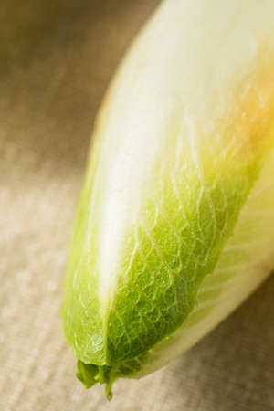 Raw Organic Belgian Endive Ready to Use