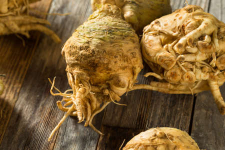 Raw Organic Brown Celery Root Ready to Cookの写真素材
