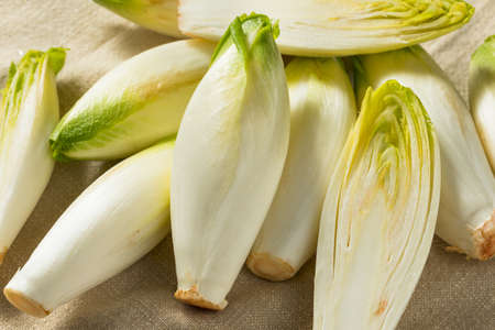 Raw Organic Belgian Endive Ready to Useの写真素材