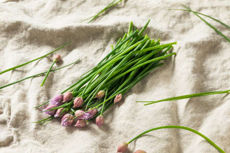 Raw Green Organic Flowering Chives Ready to Cook Withの写真素材