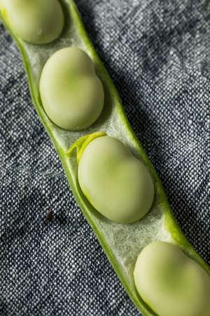 Raw Green Organic Fava Beans Ready to Cook