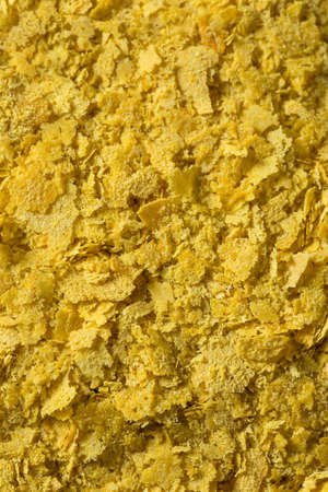 Raw Yellow Organic Nutritional Yeast in a Bowlの写真素材