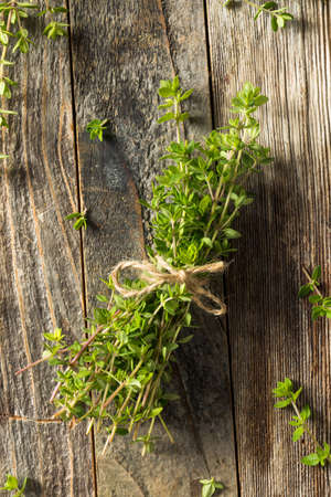 Raw Green Organic Fresh Thyme in a Bundleの写真素材