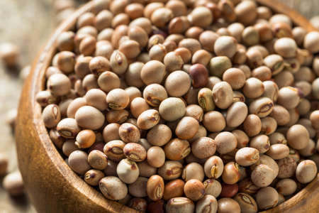 Organic Dry Toor Whole Pigeon Peas in a Bowlの写真素材