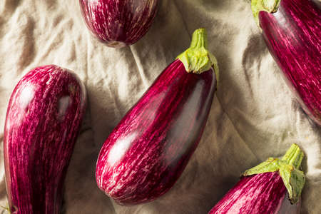 Raw Purple Organic Gaffiti Eggplant Ready to Cookの写真素材
