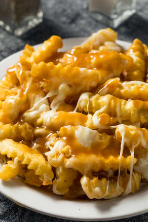 Homemade Jersey Disco French Fries with Gravy and Mozzarella