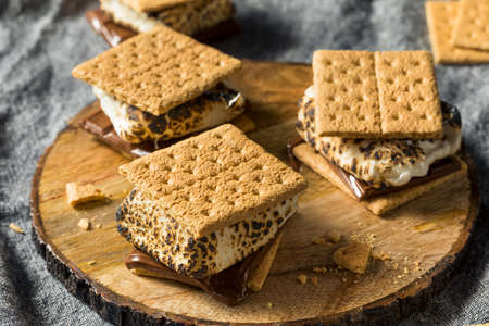 Homemade Gooey Smores Sandwiches with Chocolate and Marshmallows