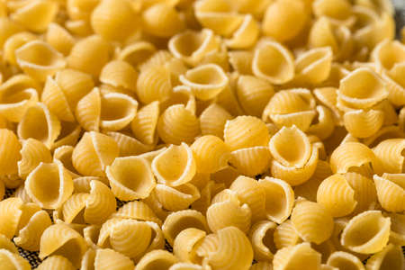 Dry Organic Macaroni Shells in a Pileの写真素材