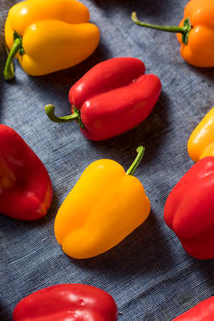 Raw Colorful Mini Bell Peppers in a Bunchの写真素材
