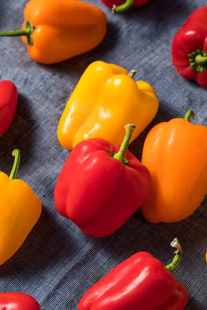 Raw Colorful Mini Bell Peppers in a Bunchの写真素材